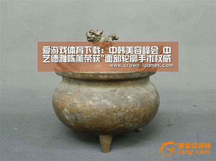 爱游戏体育下载:中韩美容峰会 中艺德雅陈薰荣获面部轮廓手术权威者奖(图2) 爱游戏棋牌