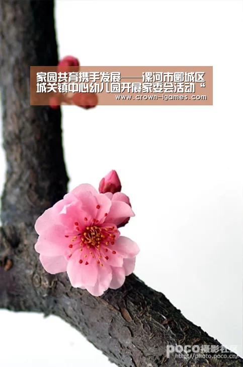 家园共育携手发展——漯河市郾城区城关镇中心幼儿园开展家委会活动“SPORTS”(图1) 爱游戏体育下载