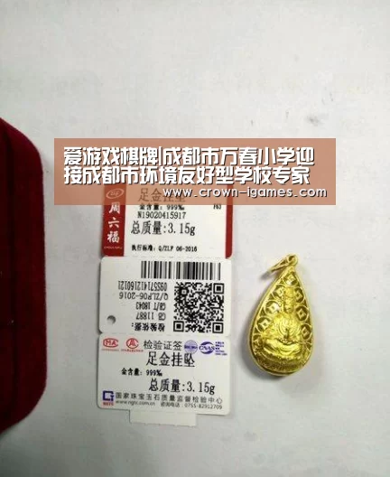 爱游戏棋牌|成都市万春小学迎接成都市环境友好型学校专家组实地考察(图3) 爱游戏棋牌|成都市万春小学迎接成都市环境友好型学校专家组实地考察(图3)