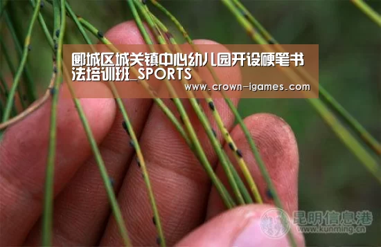 爱游戏体育全站