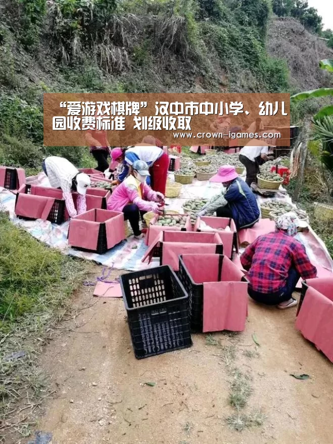 “爱游戏棋牌”汉中市中小学、幼儿园收费标准 划级收取(图4) 爱游戏体育下载