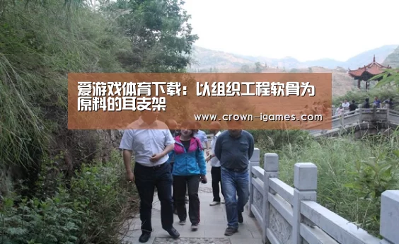 爱游戏体育下载:以组织工程软骨为原料的耳支架(图1) 爱游戏体育下载:以组织工程软骨为原料的耳支架(图1)